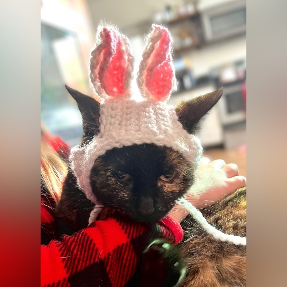 Handmade Kitty Cat Easter Bunny Hat